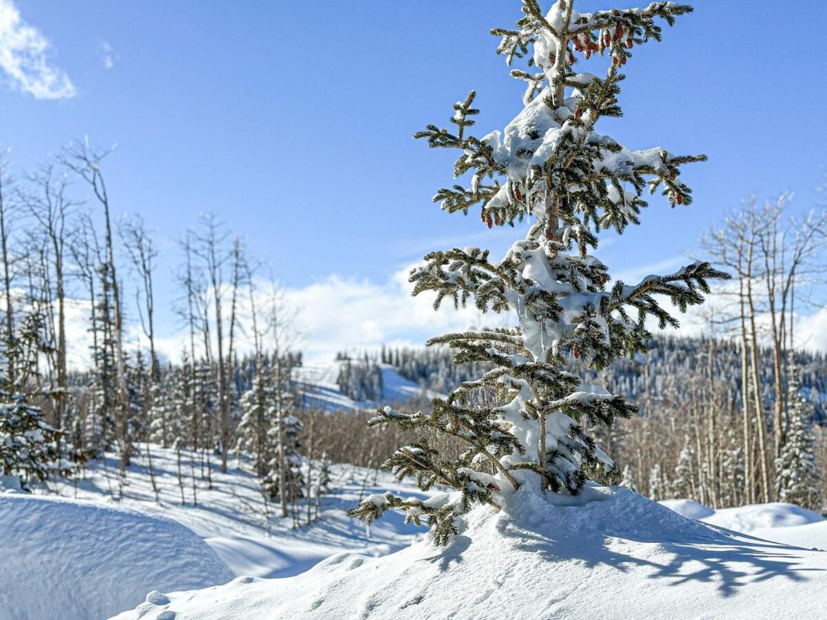 Eagle Roost Retreat By Ski Lifts Brian Head Dış mekan fotoğraf